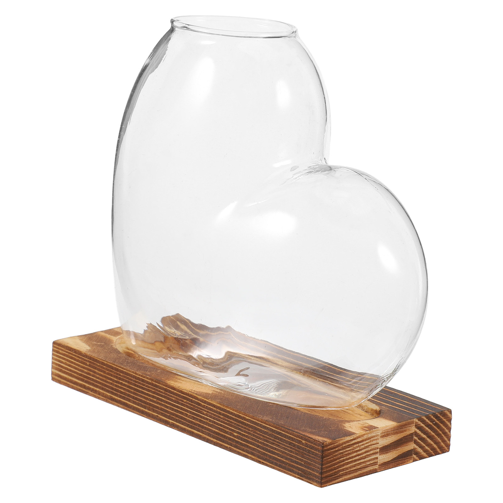 Propagation Station Vase - Hydroponic Glass Vase Transparent Soilfree Plant