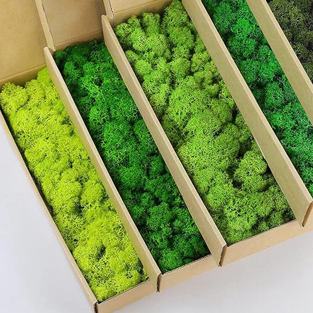 20-200g Artificial Green Plant - огляд і ціна Sphagnum Moss Dry