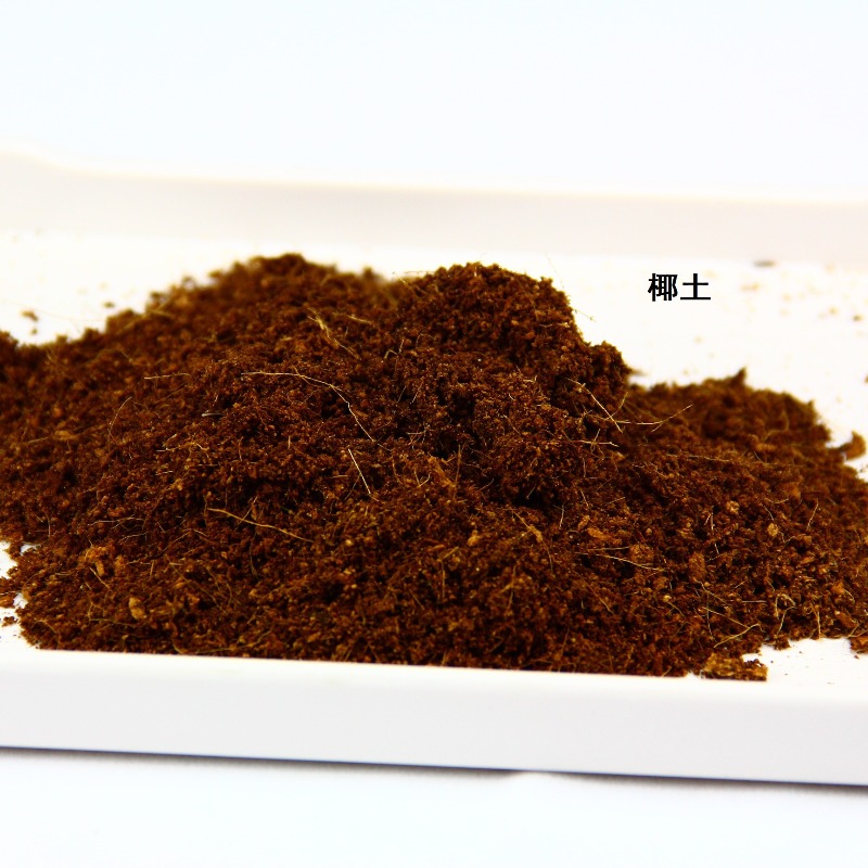 Coconut Soil Brick Reptile Sub - огляд і ціна Sphagnum Moss Dry