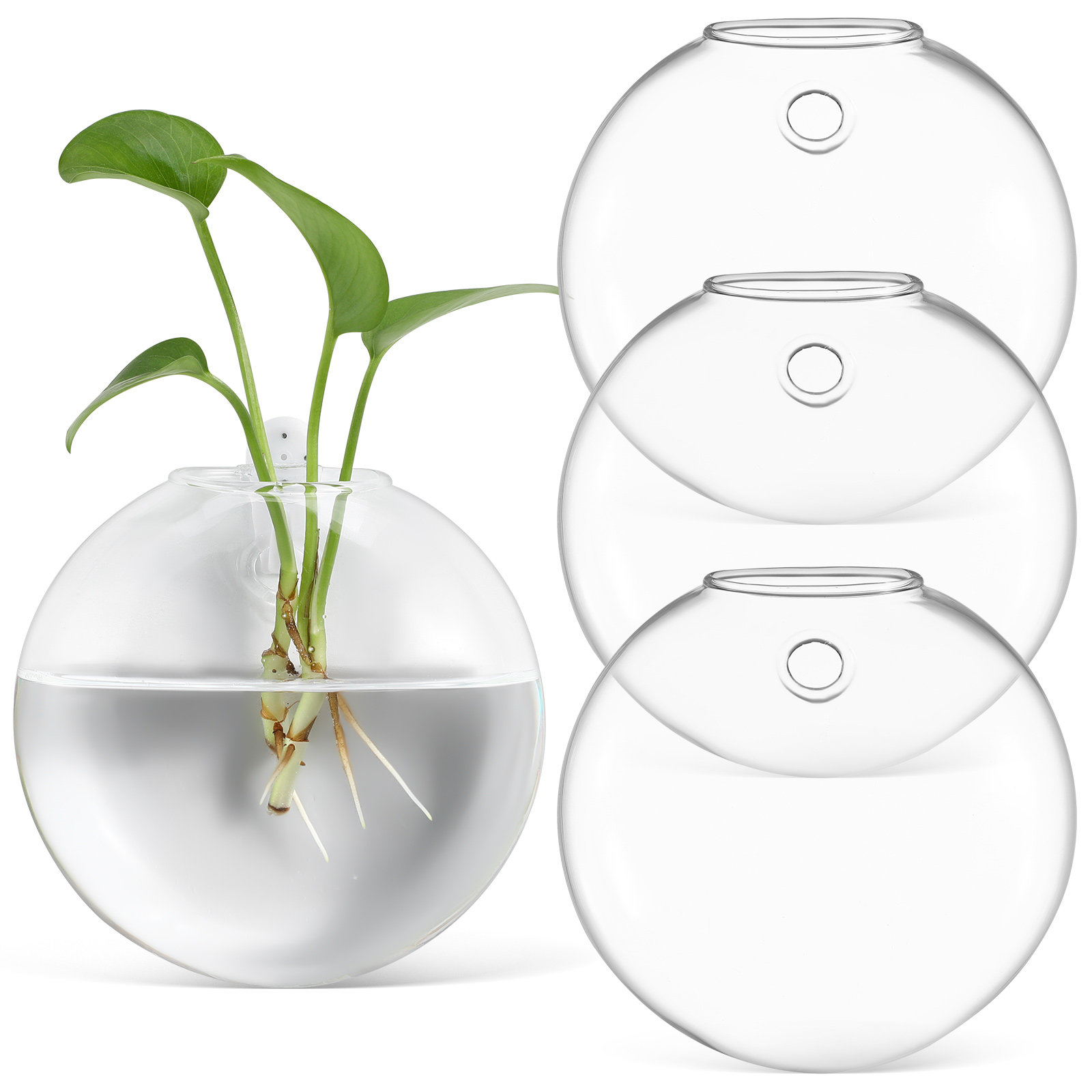 4Pcs Wall Hanging Glass Vase C - огляд і ціна Propagation Station Vase