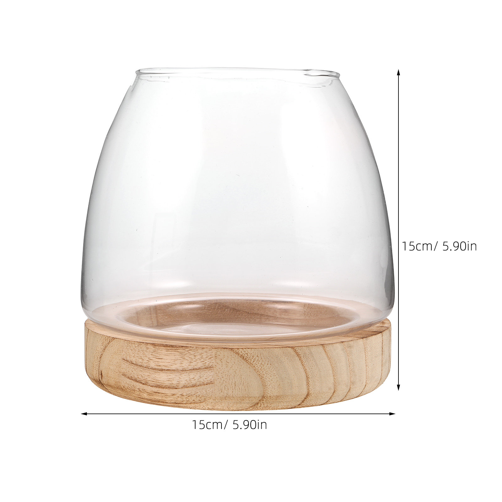 Hydroponic Plant Vase Small Gl - огляд і ціна Propagation Station Vase
