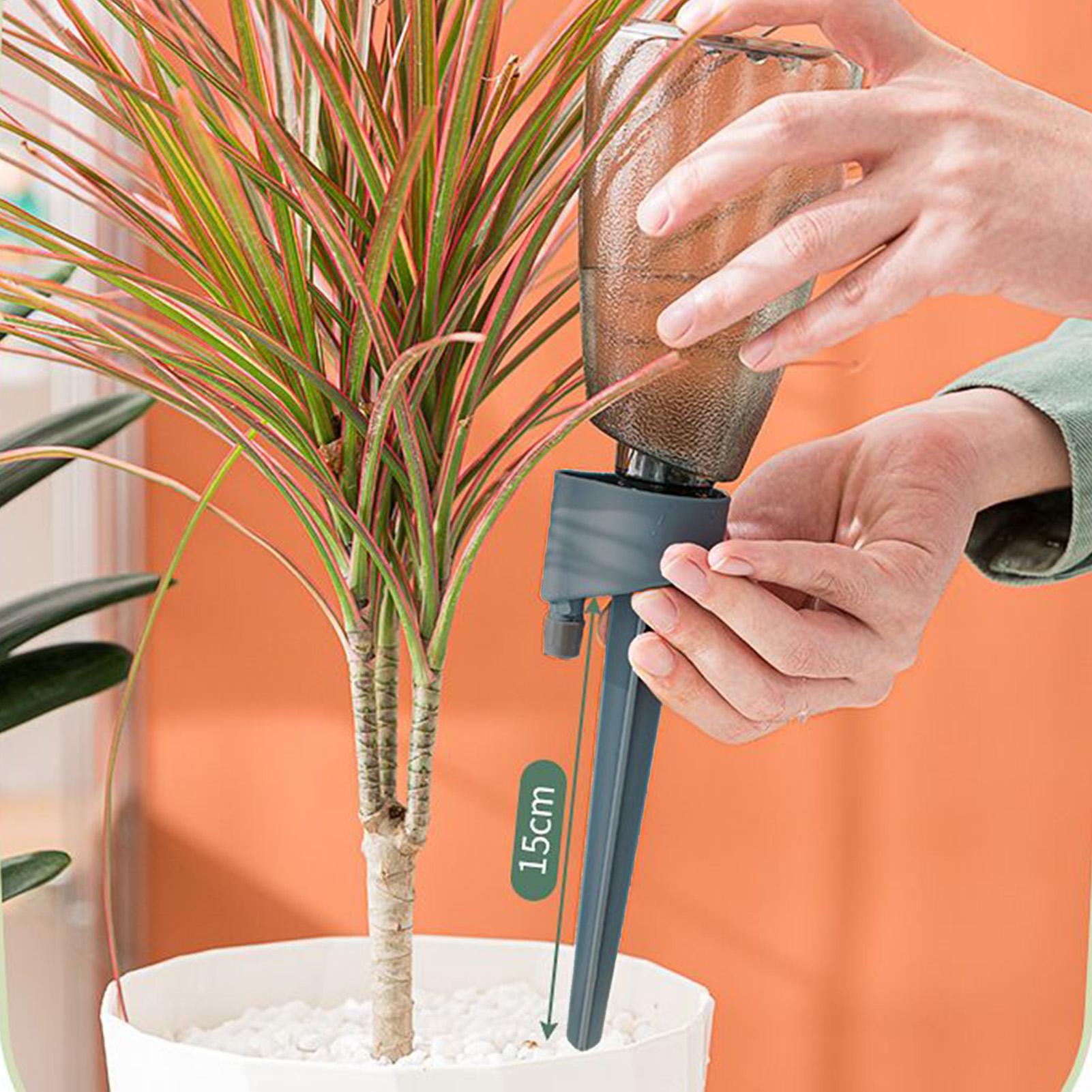 6pcs Automatic Waterer Househo - огляд і ціна Self Watering Insert