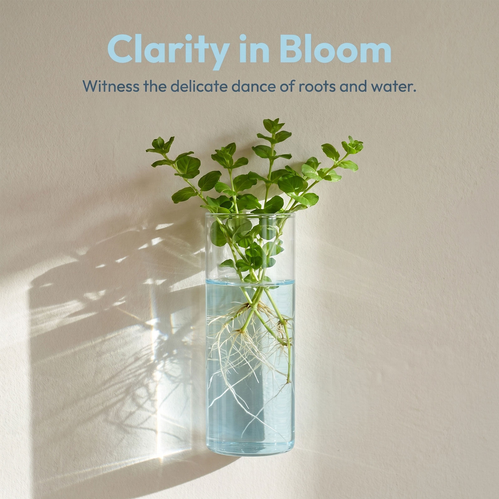 5Pcs Wall Planter Cylinder Gla - огляд і ціна Propagation Station Vase